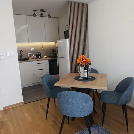 Appartement Blue Lukavica Near Airport Sarajevo